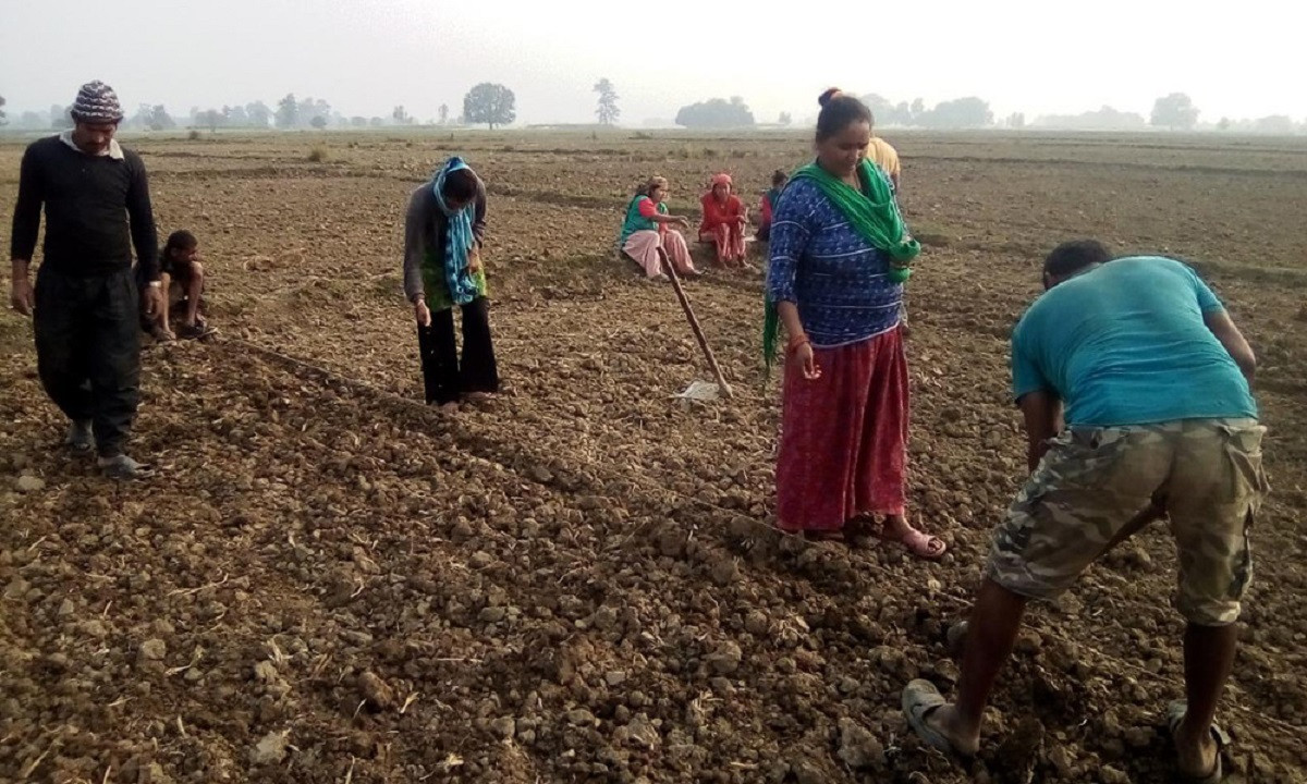 तराईलाई सुक्खा क्षेत्र घोषणा गर्न सरकारलाई आग्रह